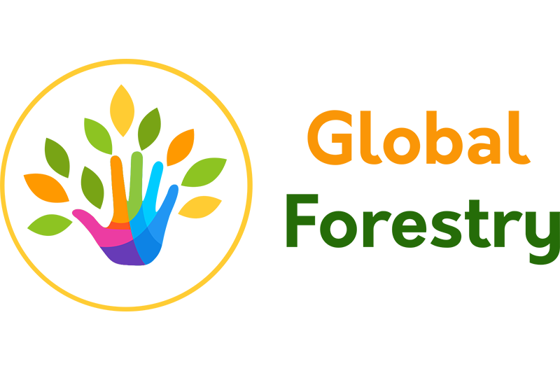Global Forestry : un nouveau master européen pour la rentrée 2023 !