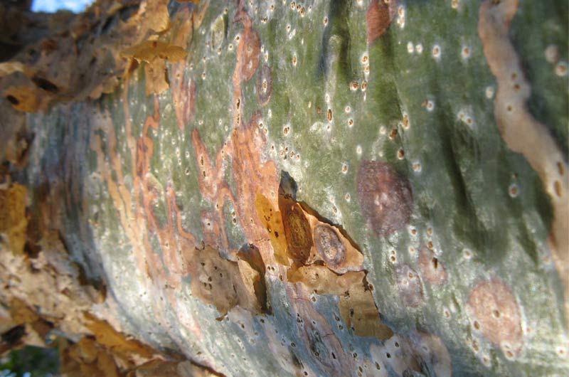 Bienvenue aux auditeurs du MS FNS-MI et aux étudiants HEC à Montpellier