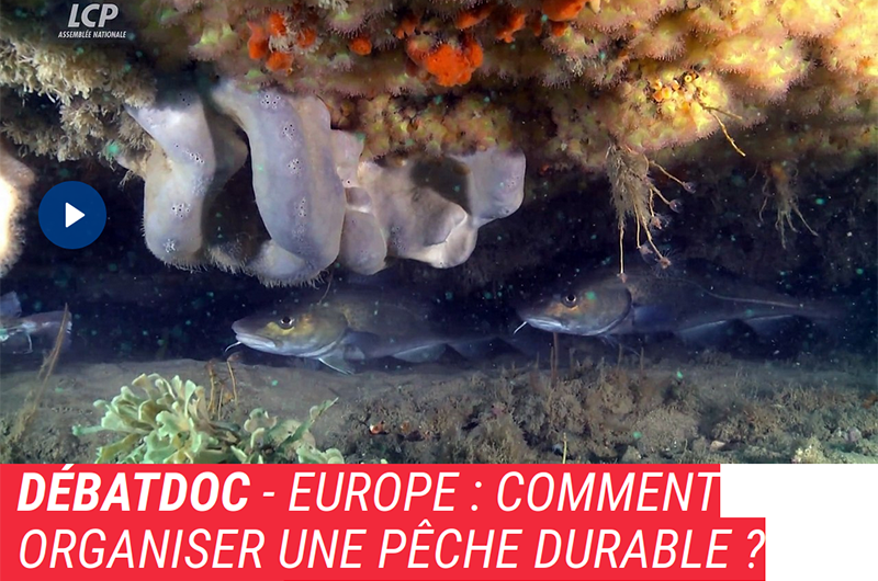 Une ancienne auditrice du MS FNS-MI sur la chaine parlementaire