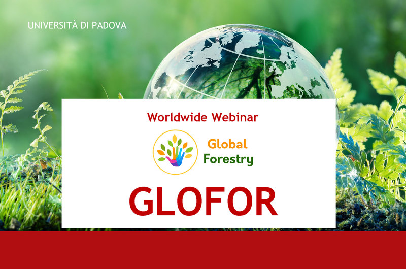 Presentation of the Master GloFor: Webinar on 15 December 2022