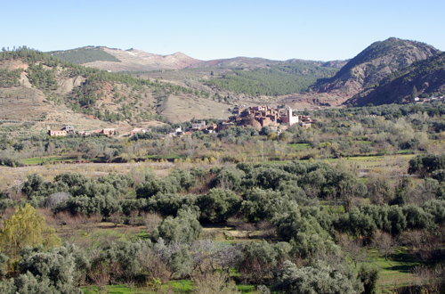 Mission collective FNS-MI 2010