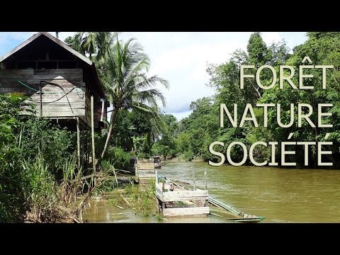 Aperçu de la vidéo des auditeurs FNS-MI 2018-2019
